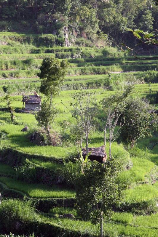 Tirtagangga, Bali Tirtagangga Indonesia 1.jpg - Indonesia Bali Tirtagangga